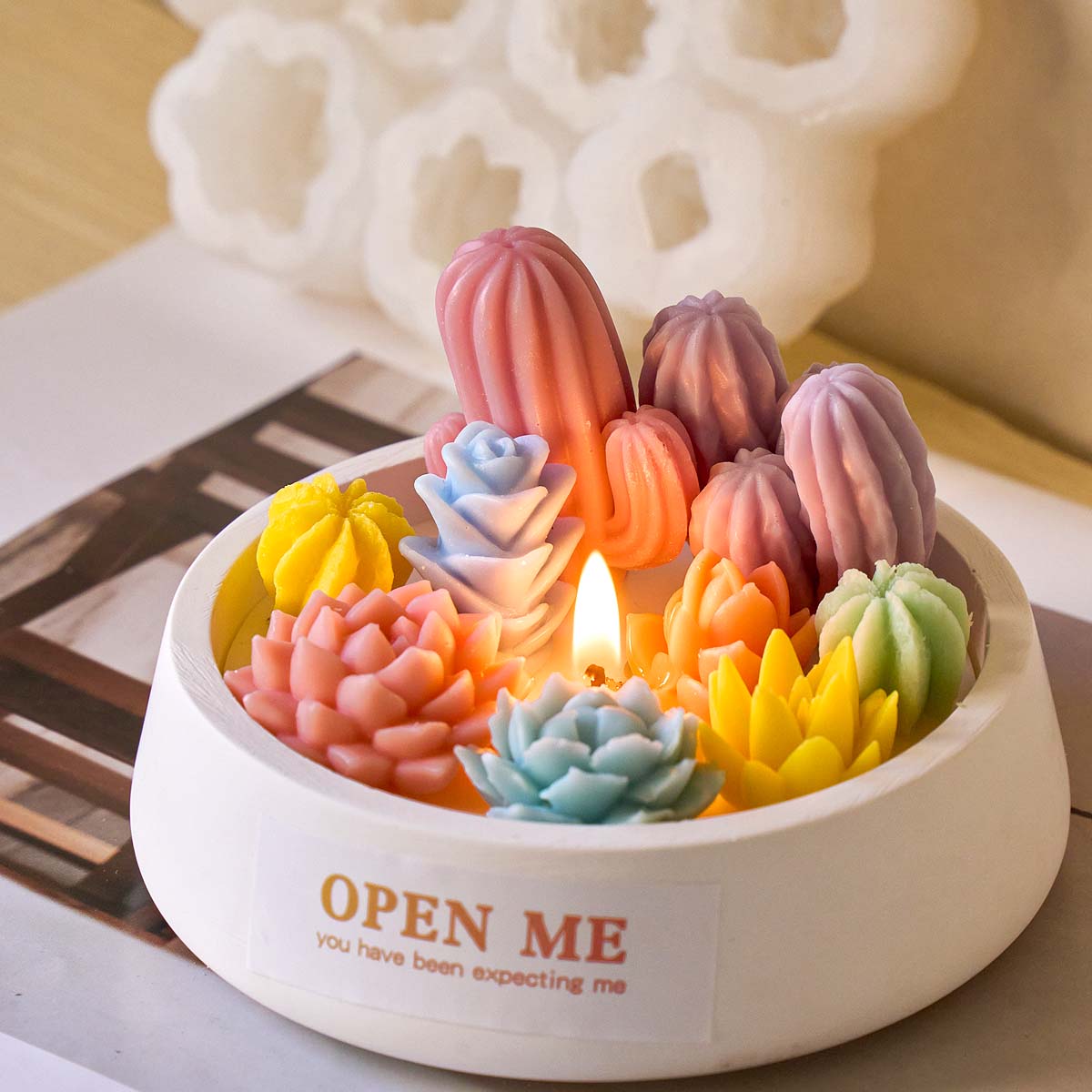 Kit succulente 3D Stampo per c - Soap Making Book For Beginners recensione e prezzo