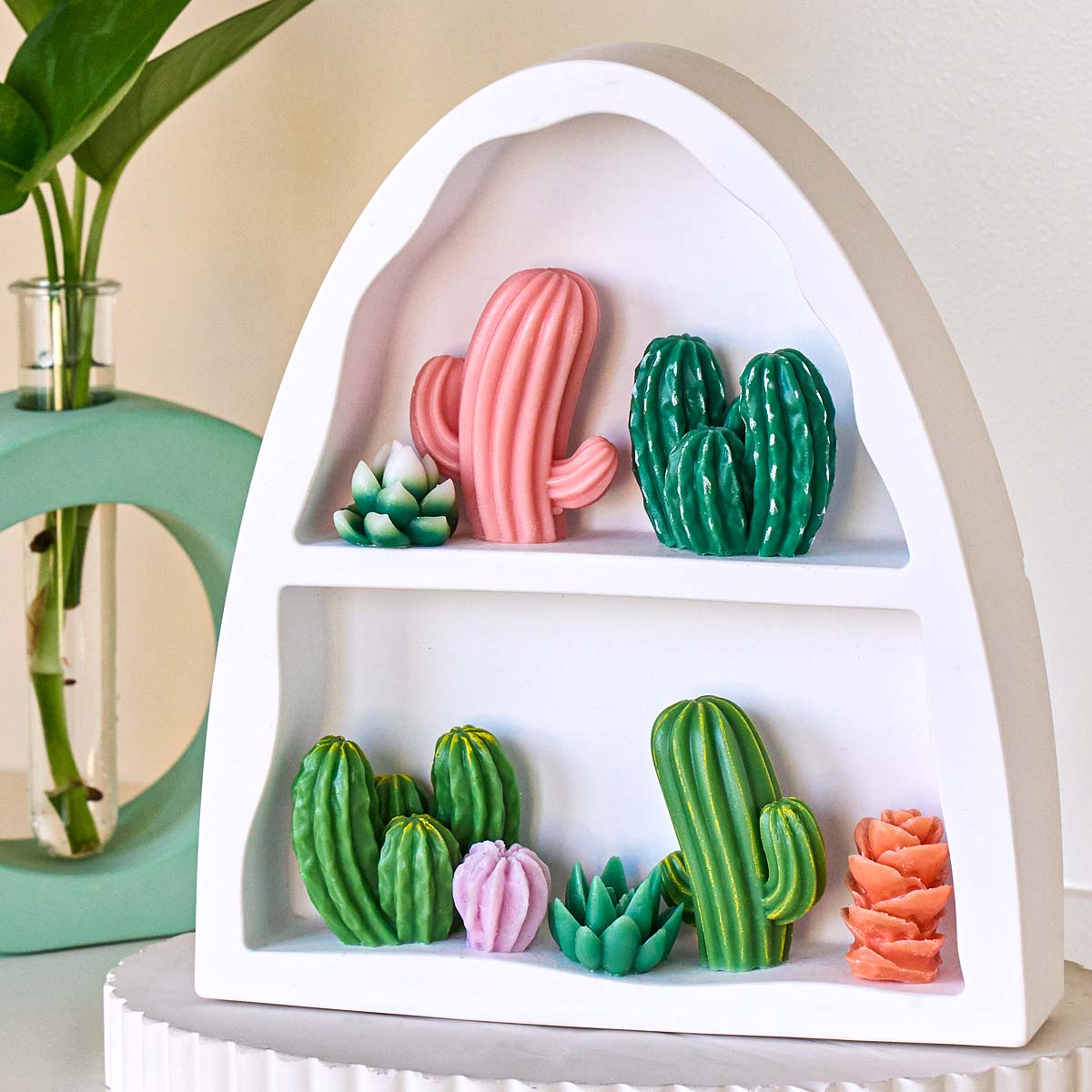 Kit succulente 3D Stampo per c - Soap Making Book For Beginners recensione e prezzo
